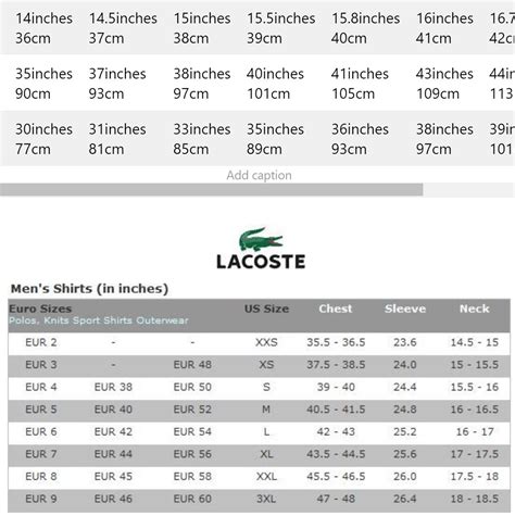 lacoste sizes explained.